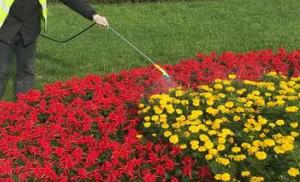 昆山工廠綠化養護淺談工廠綠化的特殊意義！